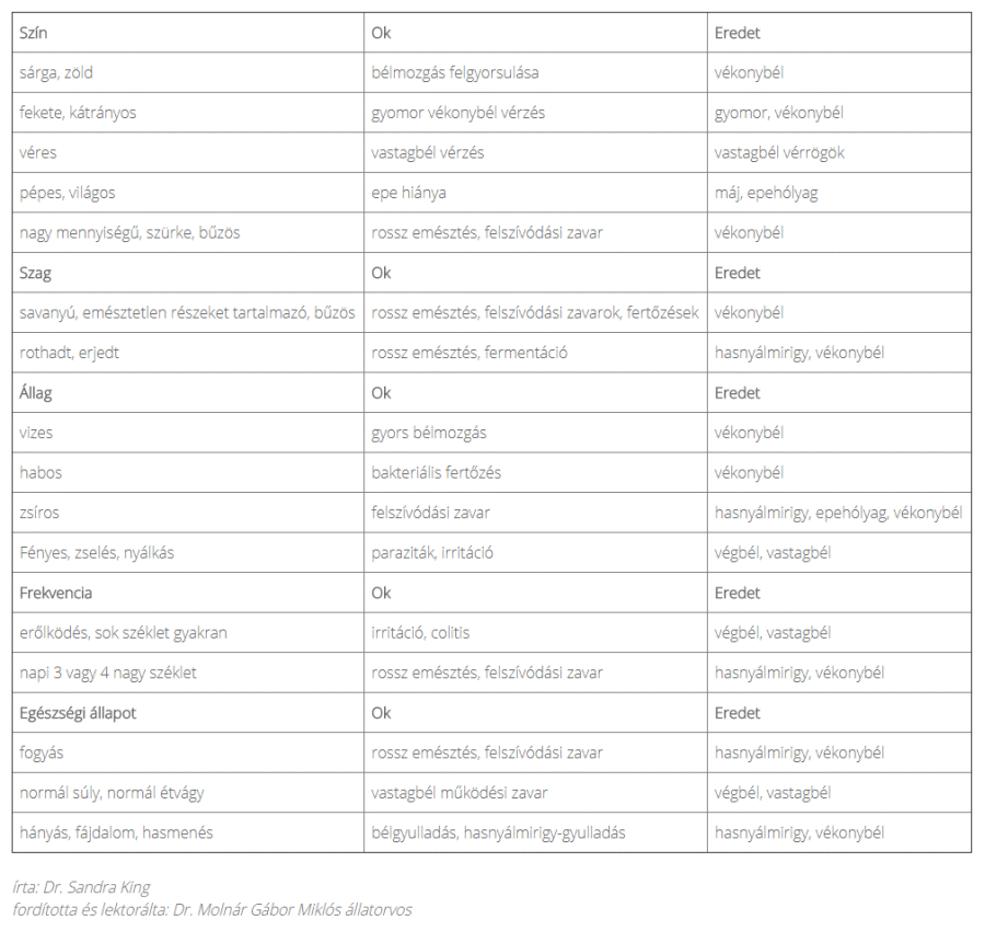 kutya és macska hasmenés elkülönítő diagnosztikája