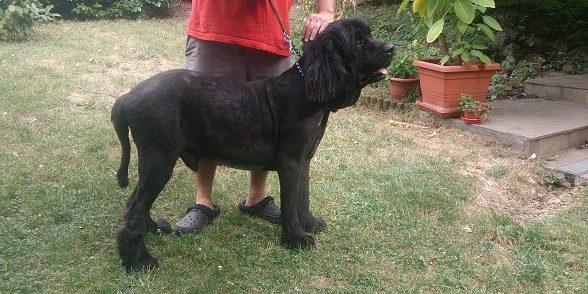 hotspot5 allergiás bőrgyulladás