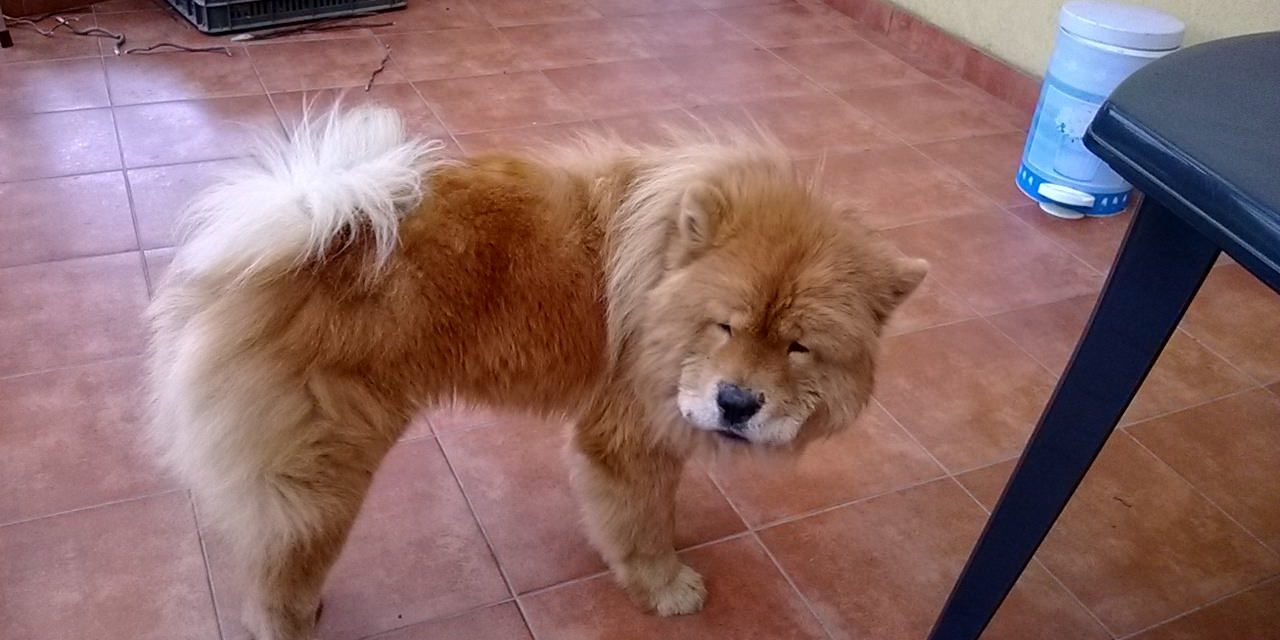 Created with Nokia Smart Cam