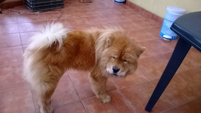 Created with Nokia Smart Cam