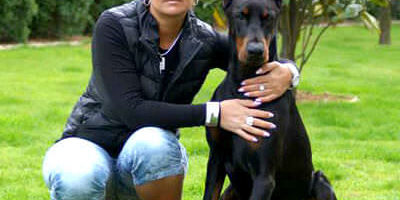 zuma_gazdi_velemenye_400x400 kutya vitamin