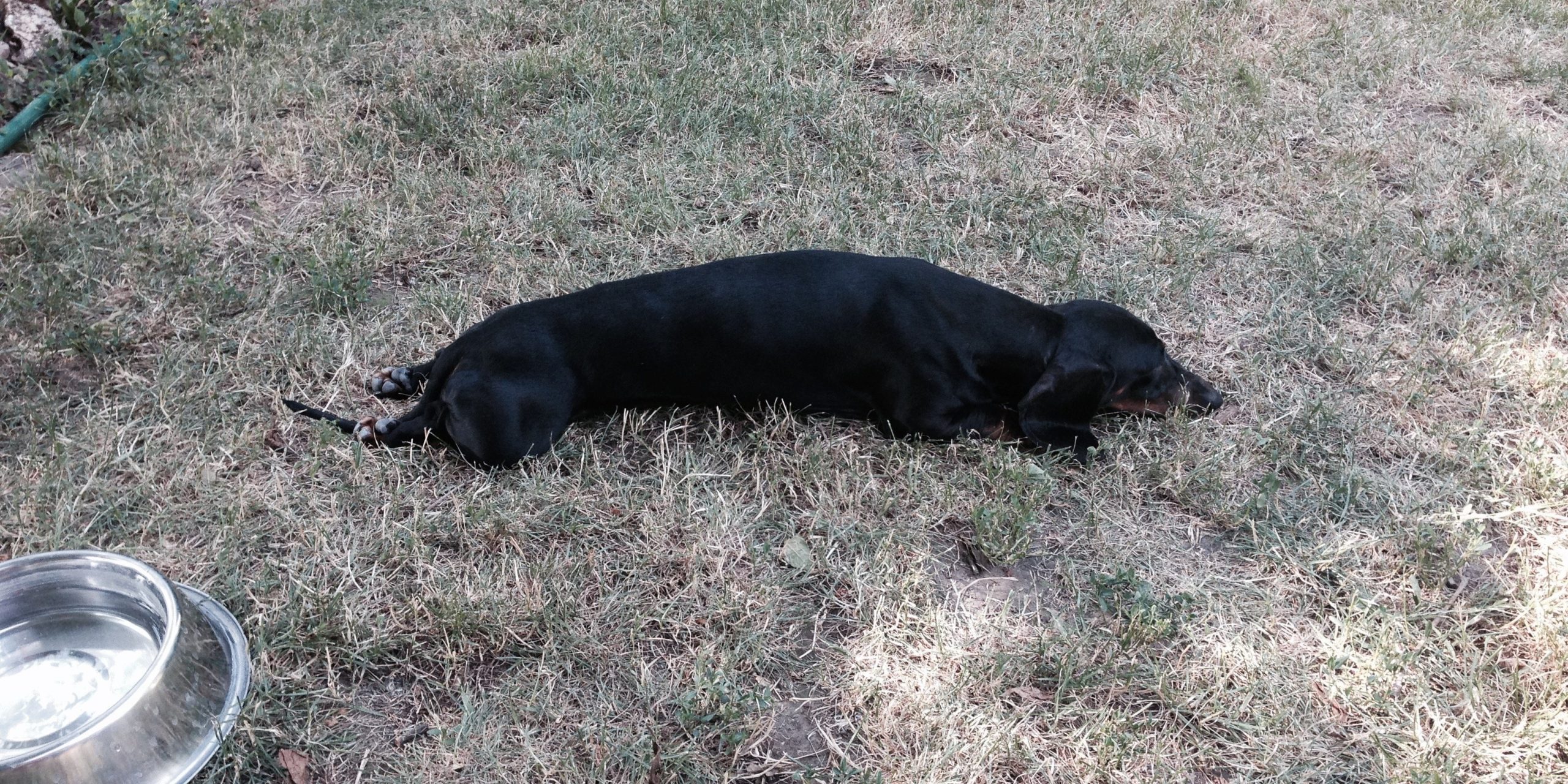 Jessica 2015. 07. 12.