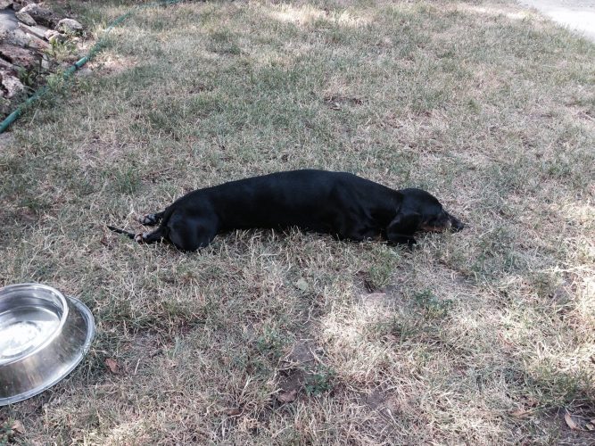 Jessica 2015. 07. 12.