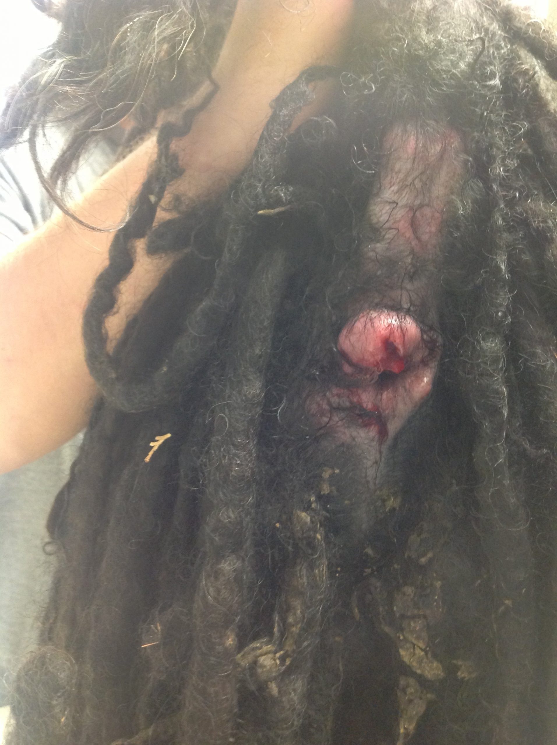 Puli kutya végbélmirigy