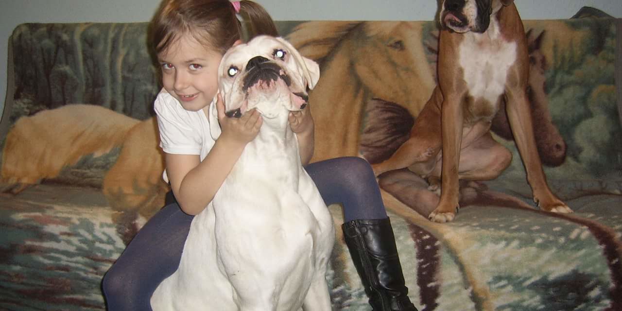 gyógyult 1. Kutya csalánkiütés gyógyult 1