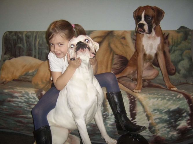 gyógyult 1. Kutya csalánkiütés gyógyult 1