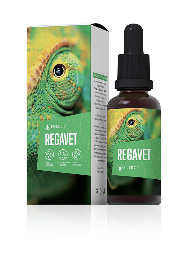 regavet