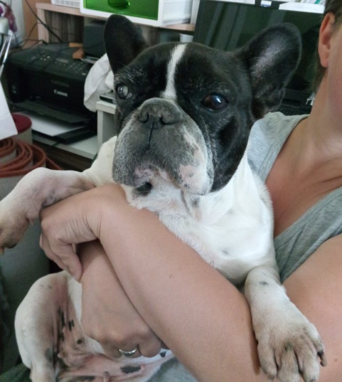 manci Kutya csigolya összenövés