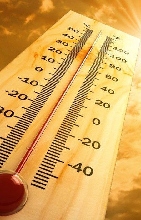 Légynyüvesség, toklász, hőguta, nyári bajok