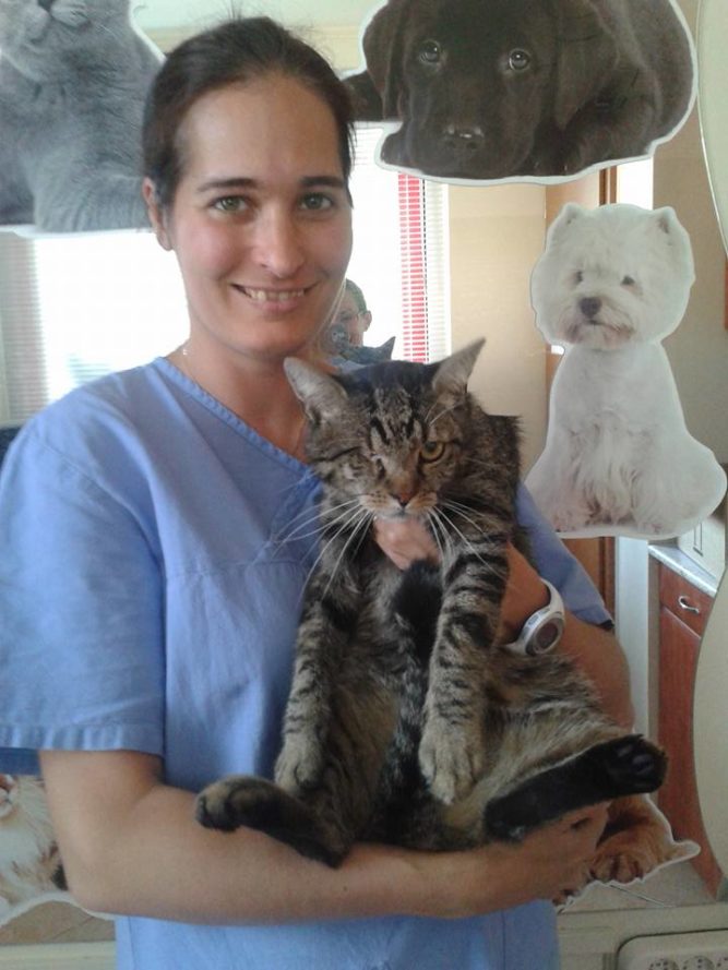 vilmops-cica macska tüsszögés