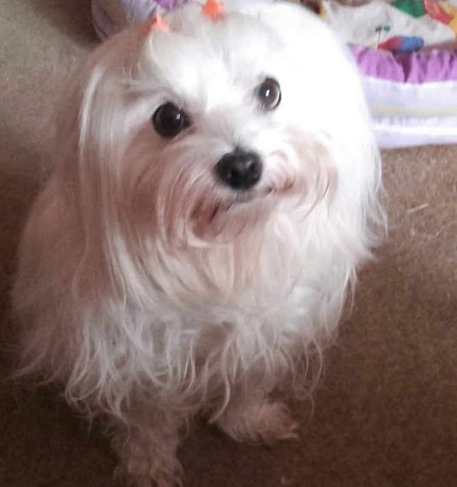 Lizi daganatos betegseg