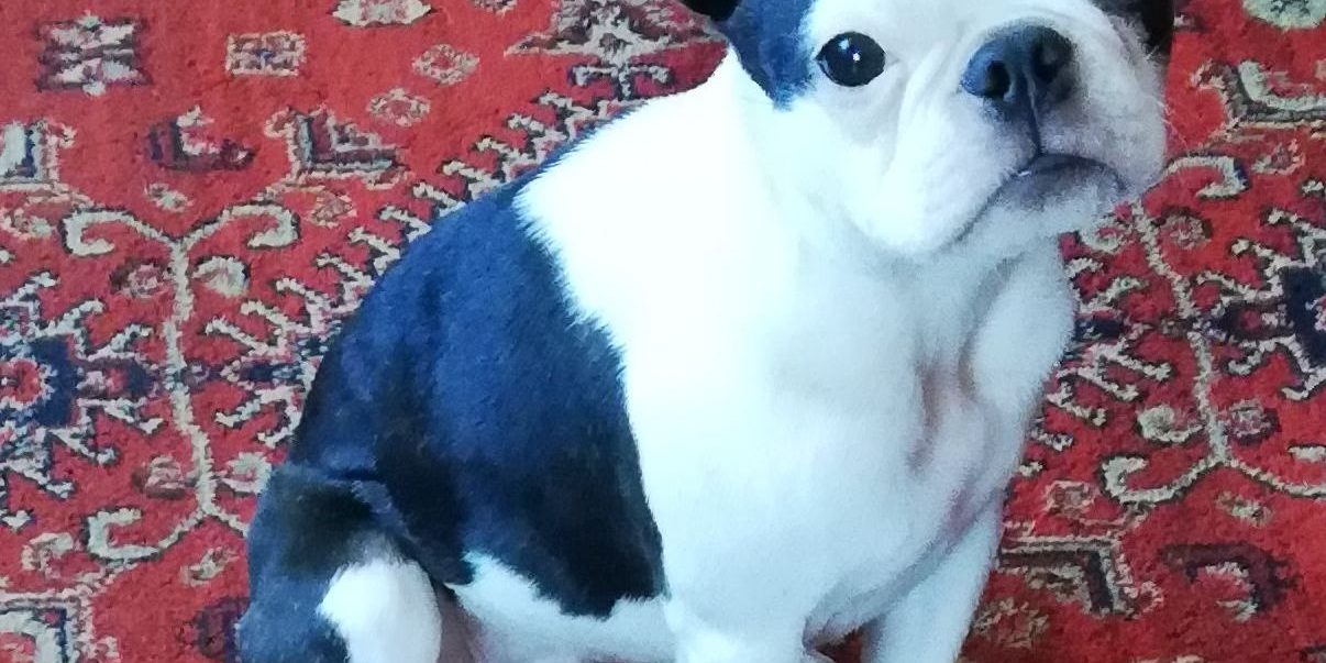 emésztési és bőrproblémák