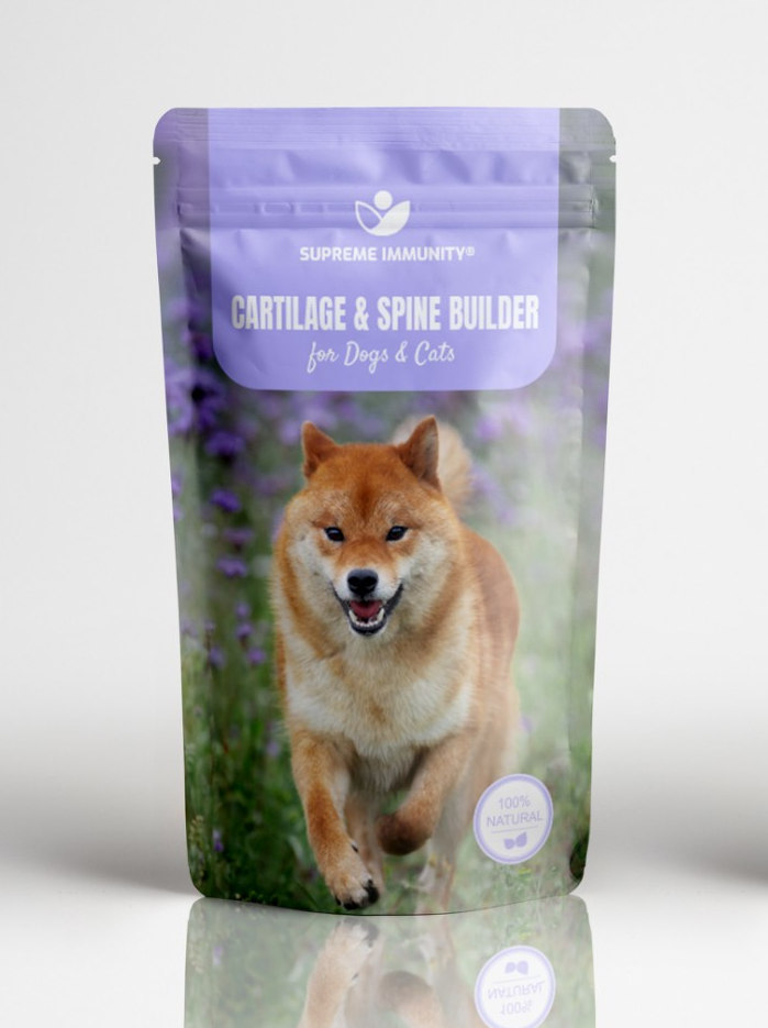 PORC ÉS GERINC ÉPÍTŐ