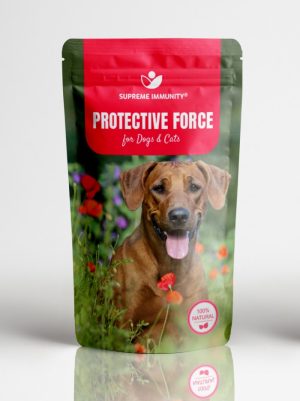 IMMUNRENDSZER TÁMOGATÓ