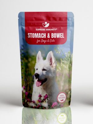 Gyomor és Bél támogató