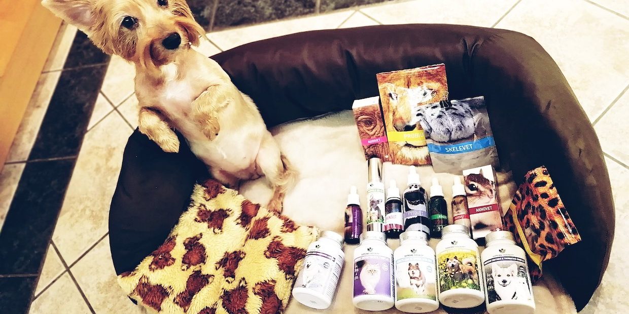 Polish_20201122_15190241722222