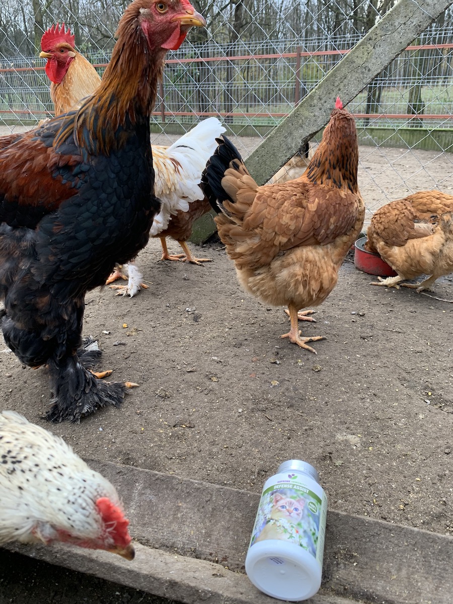 supreme immunity tyukoknak