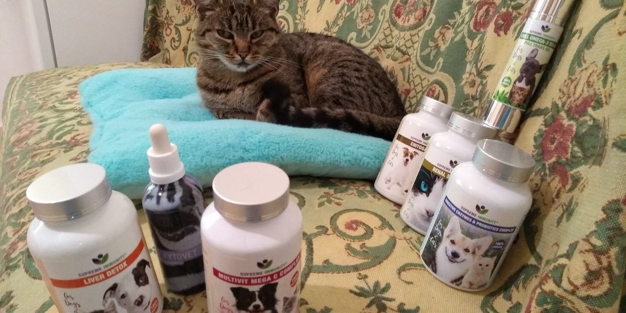 IMG_20201023_095531259 macska májbetegség