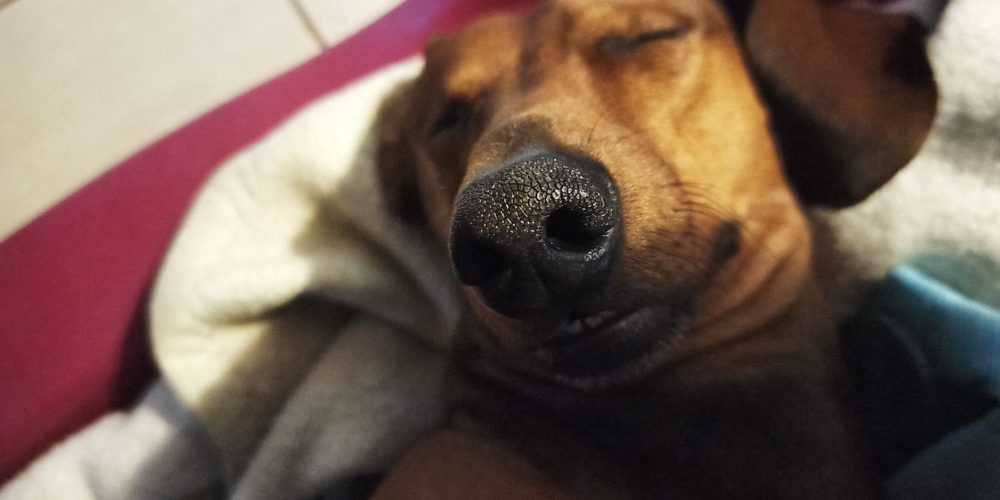 tacsi eset Tacsi esete