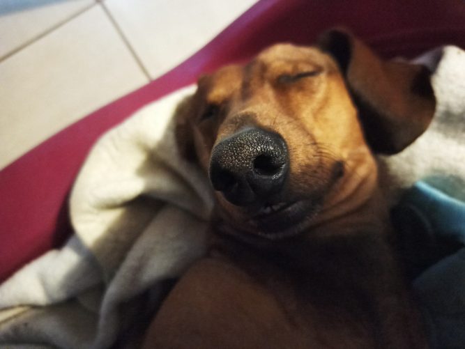 tacsi eset Tacsi esete