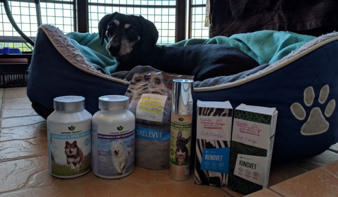 Tacskóbénulás Tacskóbénulás