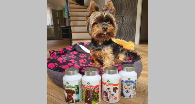 Screenshot_20210620-132940_Gallery Kutya hasnyálmirigy