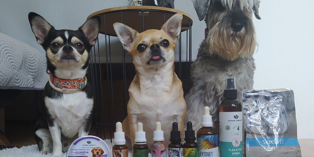 Renal_Support_210x80mm_20200403_PRINT kutya epilepsziás roham