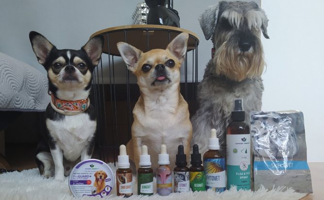 Renal_Support_210x80mm_20200403_PRINT kutya epilepsziás roham