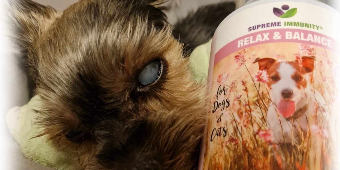 2021-08-25-20-25-12-735ssss vesztibuláris szindróma