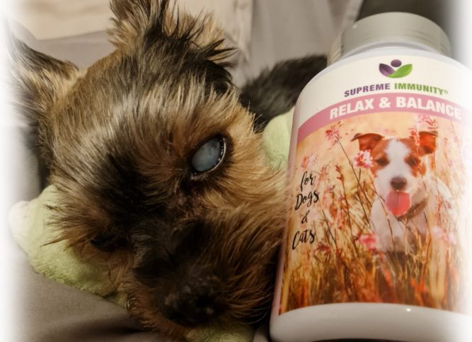 2021-08-25-20-25-12-735ssss vesztibuláris szindróma