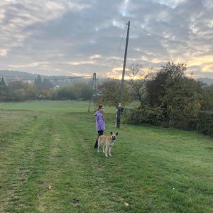 combnyaktörés gyógyulása