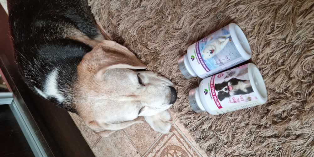 20210915_092534 Kutya nyaki porckorongsérv