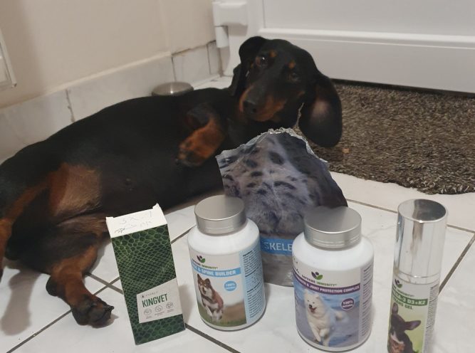 20210927_194225 kutya porckorongsérv