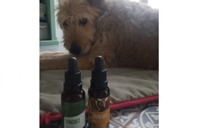 IMG_20210929_151147 vizelettartási problémák