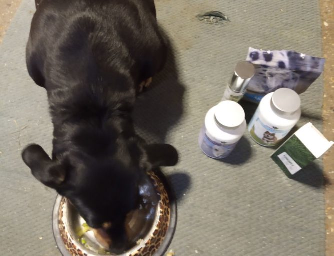 tacskobenulas tacskóbénulás