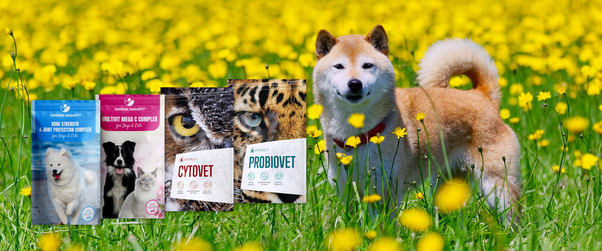 Tavasz-2019_supreme_WEB_1920x802_v1-compressor-new Tavasz-2019_supreme_WEB_1920x802_v1-compressor-new