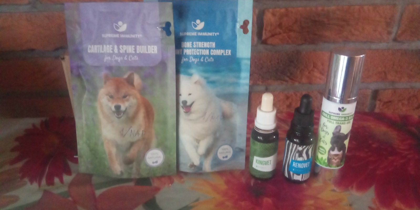 1-tb tacskóbénulás