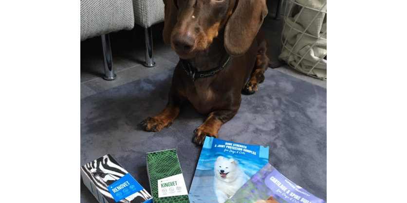 kutya porckorong sérv kutya porckorong sérv