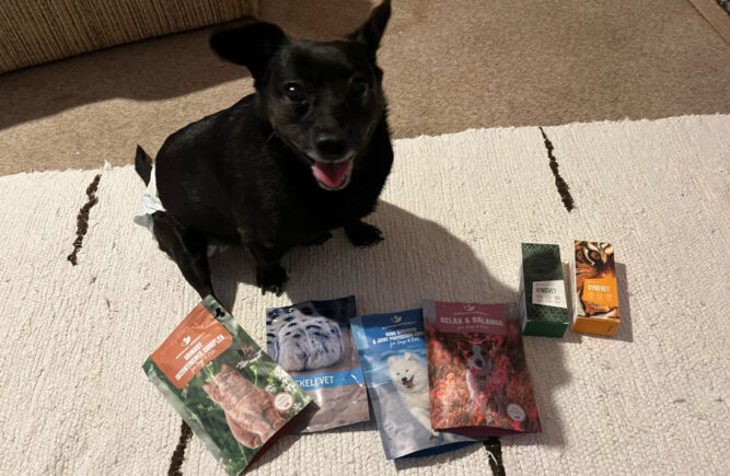 image0-1 kutya gerincsérv