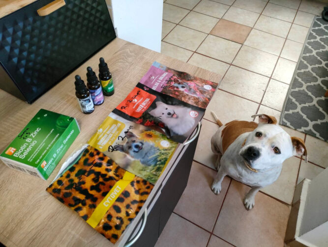 received_905246697255205 idiopathias fej tremor