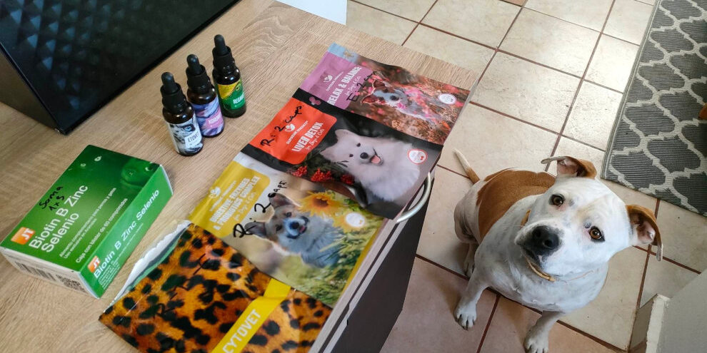 received_905246697255205 idiopathias fej tremor