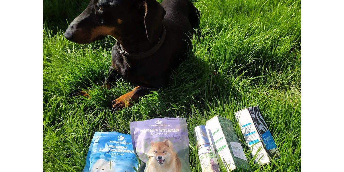 tacskobenulas kutya bénulás