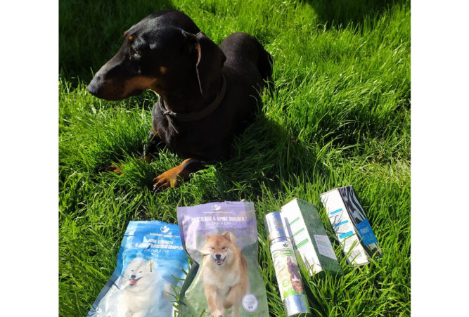 tacskobenulas kutya bénulás