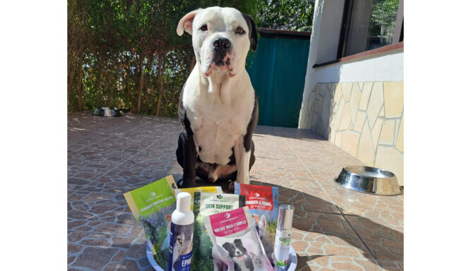 20230917_113052 kutya allergia