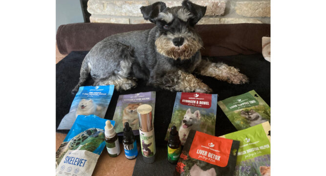 IMG-8061 bélbugyogás