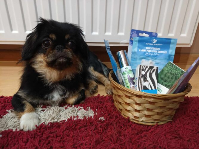 Panna Kutya mozgásszervi probléma