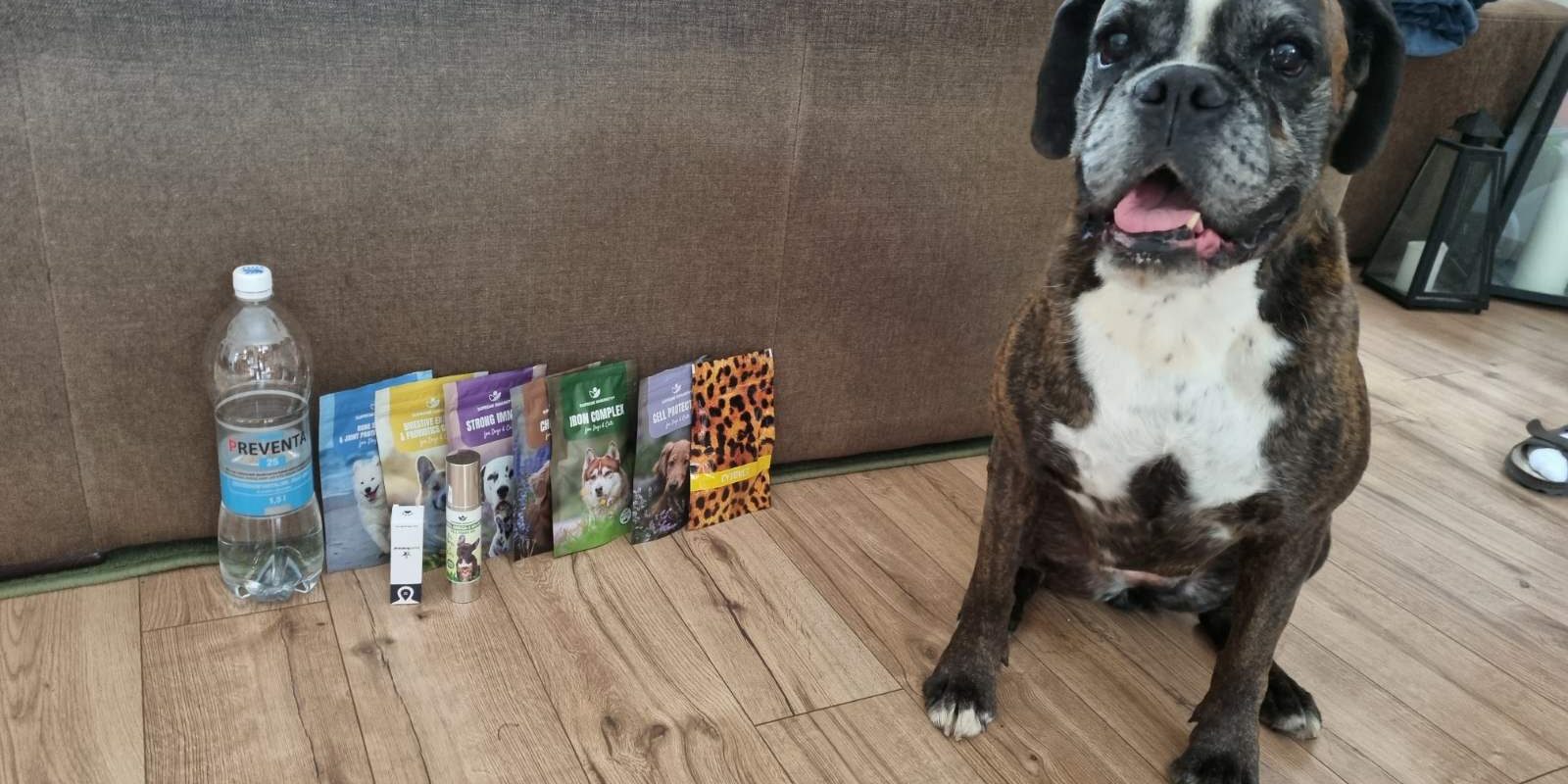 viber_image_2023-09-03_10-41-12 Osteo sarcoma