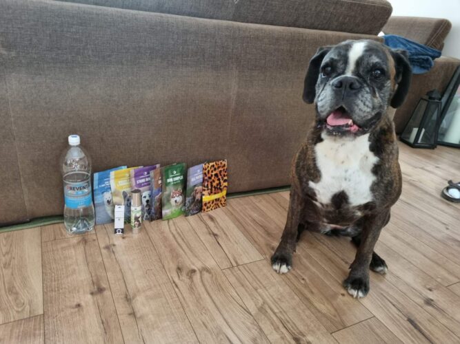 viber_image_2023-09-03_10-41-12 Osteo sarcoma