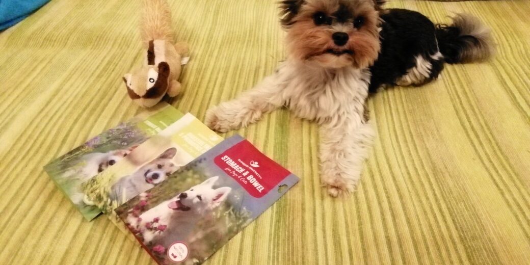 IMG_20231018_215009_resized_20231018_100921916 hasnyálmirigy gyulladás