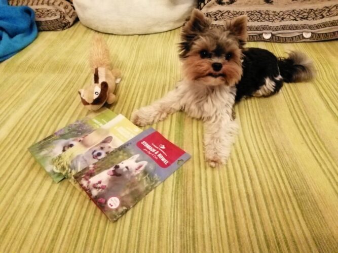 IMG_20231018_215009_resized_20231018_100921916 hasnyálmirigy gyulladás